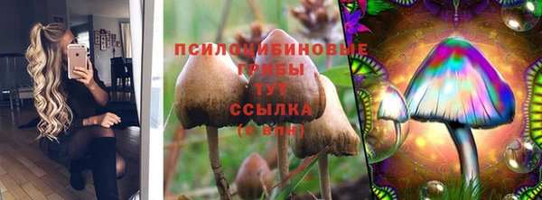 мет Дмитриев