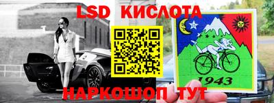 spice Берёзовский