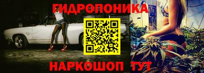спиды Донской