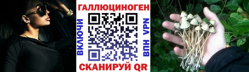 наркошоп  Мценск  Галлюциногенные грибы MAGIC MUSHROOMS 